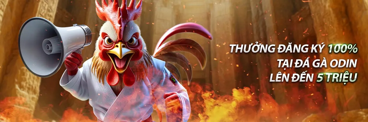 Hình ảnh chính: Cách chọn nền tảng 88xx game bài tốt nhất 2026